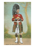 Sergeant, 79th Cameron Highlanders Bilder