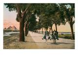 Road to the Pyramids, Cairo, Egypt Posters