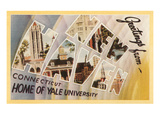 Greetings from New Haven, Connecticut Posters