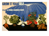 Grow it Yourself Poster Print