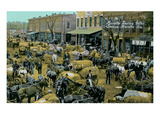 Early Cotton Market, Marietta, Georgia Photo