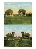 Ming Tombs, China Poster