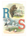 Alphabet Animals, R and S Prints