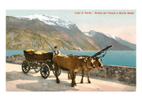 Ox Cart on Lago Di Garda, Italy Prints