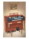 Home Organ Photo