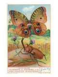 Tropical Insects Posters