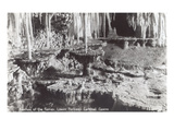 Fountain of the Fairies, Carlsbad Caverns, New Mexico Posters