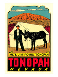 Tonopah, Nevada Decal Print