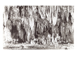 King's Palace, Carlsbad Caverns, New Mexico Prints