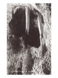 Celery Formation, Big Room, Carlsbad Caverns, New Mexico Poster