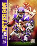 Adrian Peterson 2013 Portrait Plus Photo
