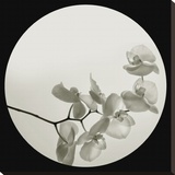 Orchidée II Reproduction transférée sur toile