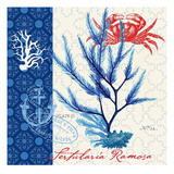 Seafaring Botanical Giclee Print by Devon Ross