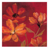 Ray of Sunshine Impressão giclée por Jurgen Gottschlag