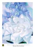 white rose with larkspur N° 2 Poster by Georgia O´Keeffe