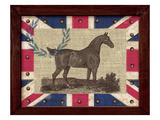 British Equestrian Giclee Print by Sam Appleman