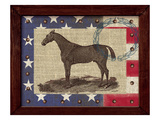 American Equestrian Reproduction procédé giclée par Sam Appleman