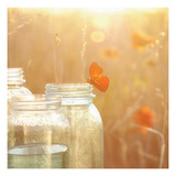 Butterfly Perch Reproduction procédé giclée par Mandy Lynne