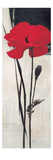 Rouge Floral 2 Giclee Print by Ivo 