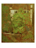 Chestnut Trees in Rue Truffaut (in the 17th Arrondissement in Paris), c.1900 Reproduction procédé giclée par Edouard Vuillard