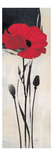 Rouge Floral 1 Giclee Print by Ivo 