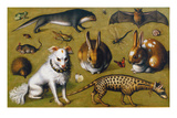 Animal Picture with Genet, c.1560 Premium Giclee Print by Ludger Ring