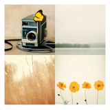 Meadow Story Giclee Print by Mandy Lynne