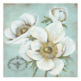 Anemone Stamp Giclee Print by Stefania Ferri