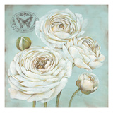Ranunculus Stamp Giclee Print by Stefania Ferri