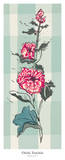 Hollyhock I Kunstdrucke von Ouida Touchon