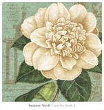 Camellia Study I Posters par Suzanne Nicoll
