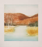 Birch Marsh Limited Edition by Harvey Kidder