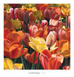 Coral Print by Cristall Harper