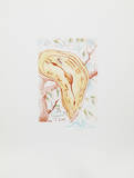 Melting Clock Limited Edition by Salvador Dali