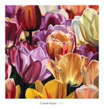 Glow Prints by Cristall Harper