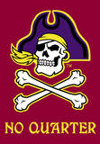 NCAA East Carolina Pirates 2-Sided House Banner Wall Scroll