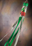 Nascar Dale Jr. 88 MTN. DEW Wind Sock Novelty