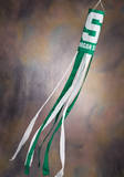 NCAA Michigan State Spartans Wind Sock Novelty