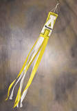 NCAA Appalachian State Wind Sock Novelty