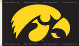 NCAA Iowa Hawkeyes Flag with Grommets Novelty