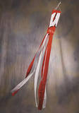 NCAA Wisconsin Badgers Wind Sock Novelty