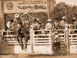 Prescott Posderkeg Prints by Barry Hart