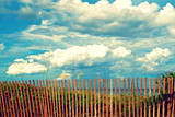 Delray Beach Posters by Lisa Hill Saghini