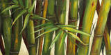 Bamboo on Beige II Poster by Patricia Pinto