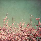 Printemps I Affiches par Susan Bryant