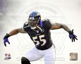 Terrell Suggs 2012 Action Photo Terrell Suggs 2012 Action Photo