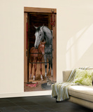 Trompe L’Oiel Stable Door Wall Accent Huge Mural Art Print Poster Wall Mural