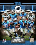 Carolina Panthers 2012 Team Composite Photo
