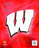 2009 University of Wisconsin Badgers Team Logo Photo