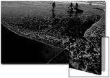 Surf 1, 2009 Posters by Nicolas Le Beuan Bénic